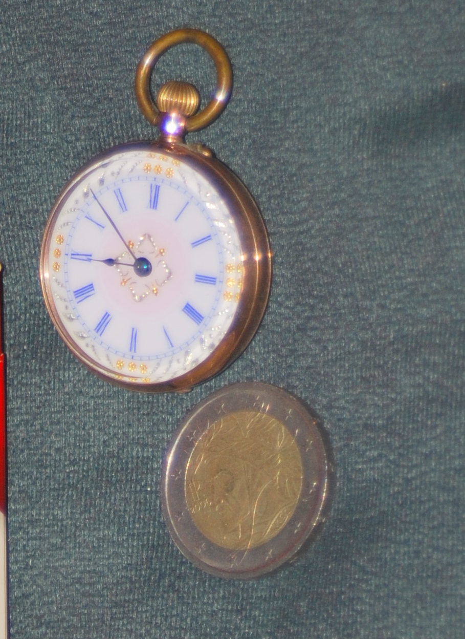 OROLOGIO DA TASCA - LIBERTY - FUNZIONANTE WALING